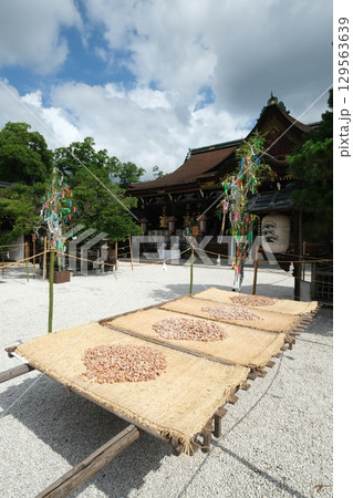 北野天満宮の梅の天日干し 北野天満宮の梅の天日干し 129563639