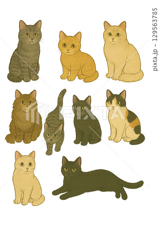 いろいろなポーズの猫のイラストセット 129563785