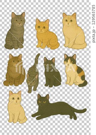 いろいろなポーズの猫のイラストセット 129563785
