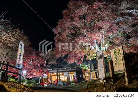 神奈川県秦野市 緑水庵 紅葉ライトアップ風景 神奈川県秦野市 緑水庵 紅葉ライトアップ風景 129563834