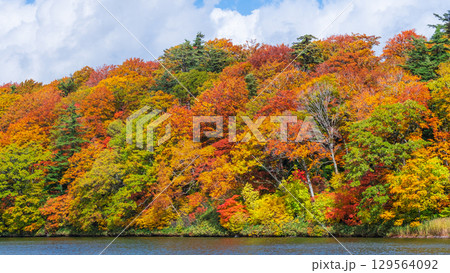 八幡平大沼（秋） 129564092