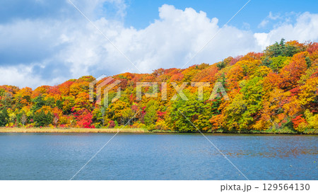 八幡平大沼(秋) 八幡平大沼(秋) 129564130