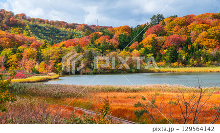 八幡平大沼（秋） 129564142