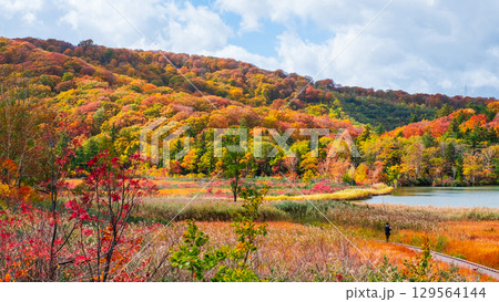 八幡平大沼（秋） 129564144