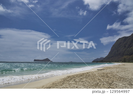 95991　ワイマナロビーチパーク　オアフ島　ハワイ 129564997