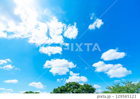 青空と雲と太陽と木立 青空と雲と太陽と木立 129565121