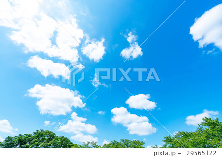 青空と雲と太陽と木立 129565122