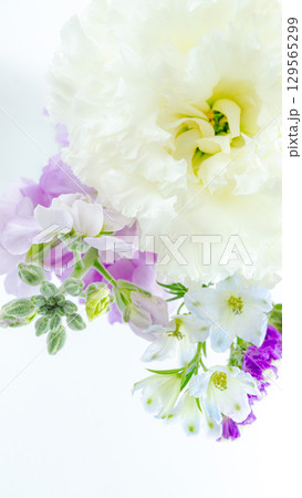 白と紫色の生花束ブーケ背景写真素材　クローズアップ　縦　お供え 129565299