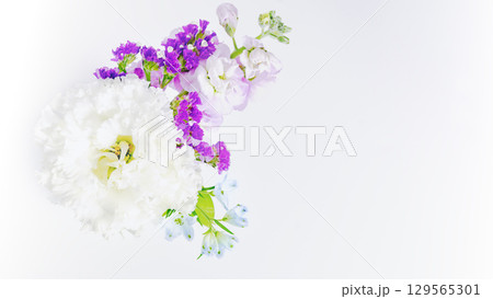 紫と白い生花束ブーケの背景写真素材　コピースペース　白バック　お供え 129565301