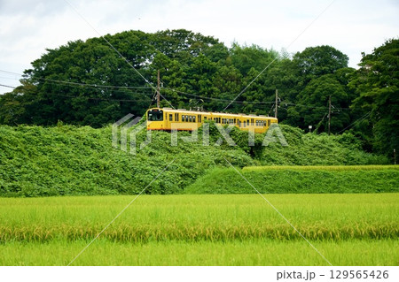 田園地帯を走る、三岐鉄道の黄色い電車 129565426