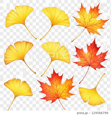 落ち葉イラストセット1 落ち葉イラストセット1 129566799