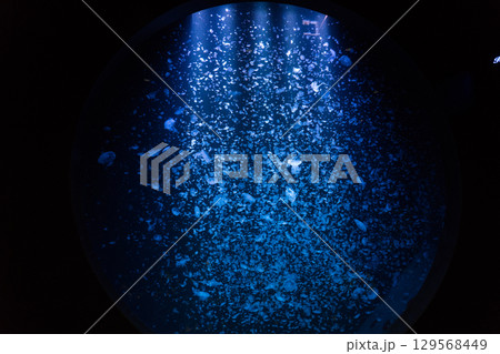 加茂水族館のクラゲドリームシアター 129568449