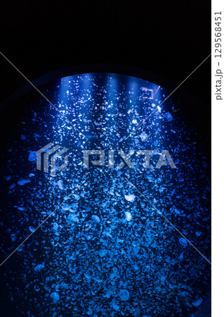 加茂水族館のクラゲドリームシアター 加茂水族館のクラゲドリームシアター 129568451