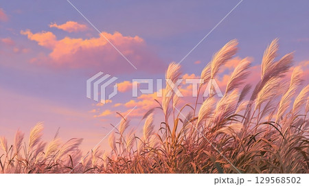 夕暮れに輝くススキと秋の雲 夕暮れに輝くススキと秋の雲 129568502