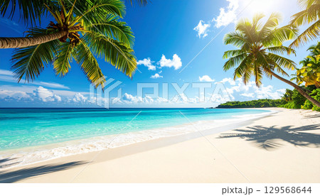 南国ビーチと椰子の木の風景 129568644