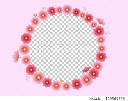 Cosmos Frame B Cosmos Frame B 129569336