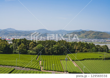 島田市の中條景昭像公園周辺の風景(静岡県) 島田市の中條景昭像公園周辺の風景(静岡県) 129569338
