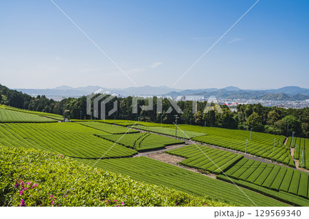 島田市の中條景昭像公園周辺の風景(静岡県) 島田市の中條景昭像公園周辺の風景(静岡県) 129569340