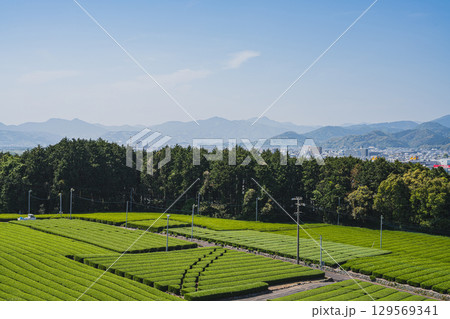 島田市の中條景昭像公園周辺の風景(静岡県) 島田市の中條景昭像公園周辺の風景(静岡県) 129569341