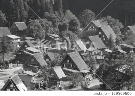 城跡展望台から望む初秋の白川郷 129569600