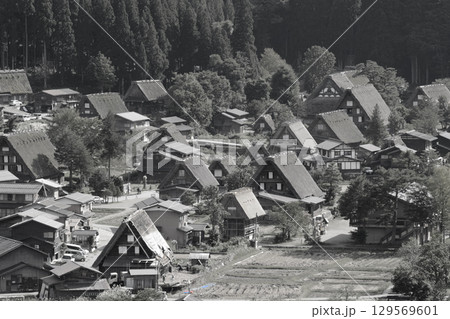 城跡展望台から望む初秋の白川郷 城跡展望台から望む初秋の白川郷 129569601