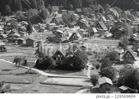 城跡展望台から望む初秋の白川郷 129569604