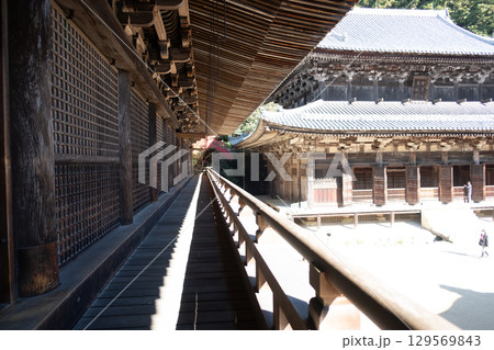 Daikodo, Traditional architecture with serene walkway perspective at Engyoji mountain Shosha, Himeji, Japan 129569843