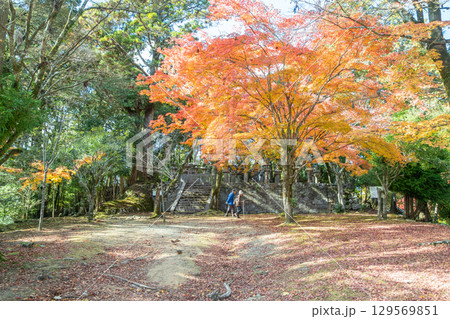 Vibrant autumn scene with colorful foliage at Engyoji mountain Shosha, Himeji, Japan 129569851