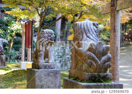 Kaizando, Stone sculptures in a serene garden setting at Engyoji mountain Shosha, Himeji, Japan 129569870