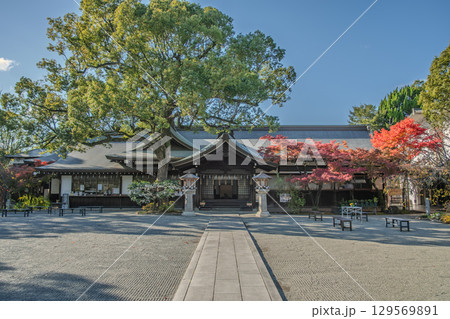 Shirasaginomiya Gokoku Shrine, Traditional temple with stone steps and wooden architecture at Himeji, Japan 129569891