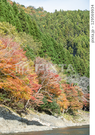 Autumn foliage along a riverbank. at Hozugawa River Autumn foliage along a riverbank. at Hozugawa River 129569934