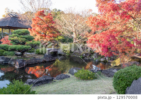 Serene garden with autumn foliage and pond reflections at Kokoen Garden ,Himeji, Japan 129570008