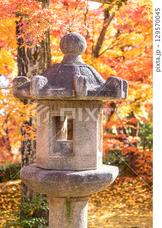 Stone lantern against vibrant autumn foliage at Arashiyama, Japan Stone lantern against vibrant autumn foliage at Arashiyama, Japan 129570045