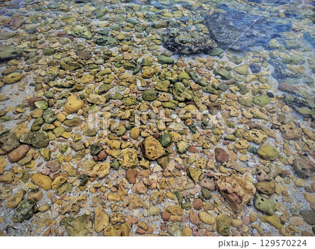 A clear, shallow stream bed filled with smooth, colorful pebbles and rocks A clear, shallow stream bed filled with smooth, colorful pebbles and rocks 129570224