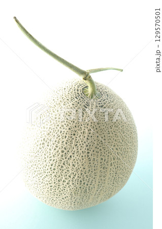 丸ごとメロン 129570501