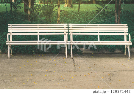Two white benches in a serene park setting. 129571442
