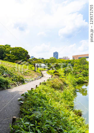 初夏の清澄庭園 初夏の清澄庭園 129571705