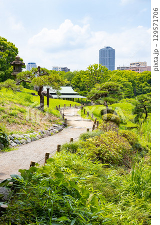 初夏の清澄庭園 129571706