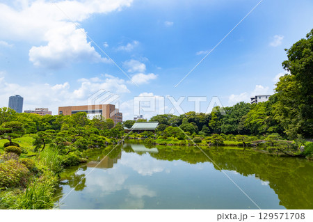 初夏の清澄庭園 初夏の清澄庭園 129571708