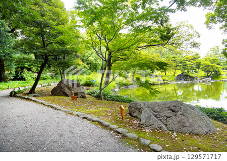 初夏の清澄庭園 129571717