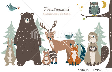 森の動物たちの集合したかわいいイラストセット 森の動物たちの集合したかわいいイラストセット 129571836
