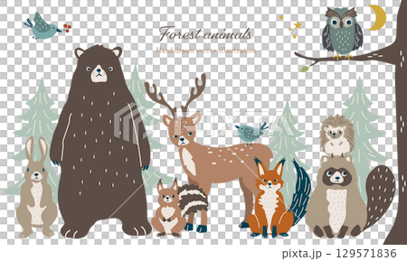 森の動物たちの集合したかわいいイラストセット 森の動物たちの集合したかわいいイラストセット 129571836