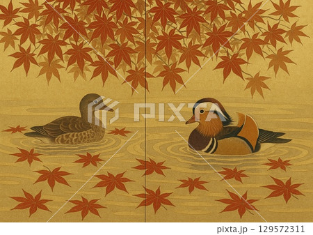紅葉の落ち葉と水面に浮く2匹の鴨 129572311