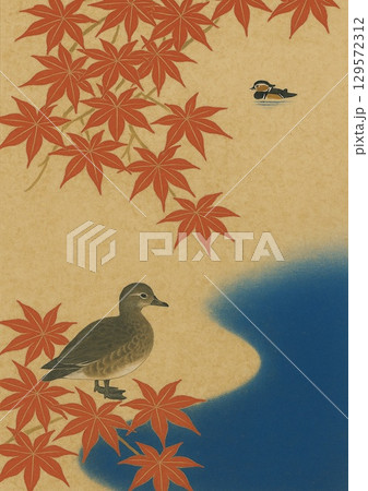 紅葉と鴨 129572312