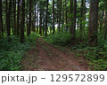 あれ！この遊歩道 129572899