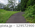 あれ！この遊歩道 129572900