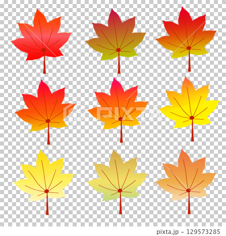 Set of colorful maple leaves to decorate autumn Set of colorful maple leaves to decorate autumn 129573285
