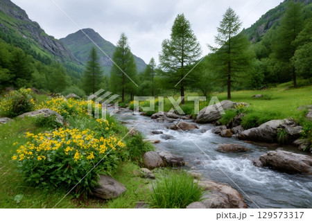 Mountain river flowing through green valley with yellow wildflowers and larch trees 129573317