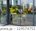 ある花屋の店先 129574752