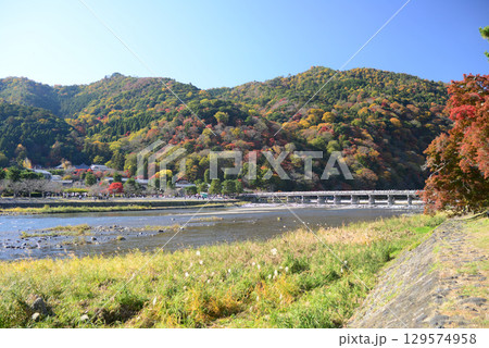 色付く嵐山と渡月橋-1 色付く嵐山と渡月橋-1 129574958